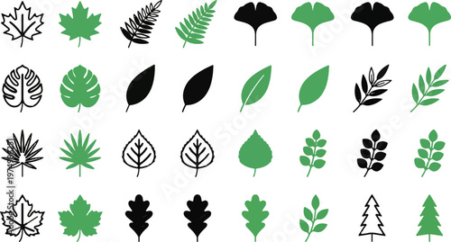 Leaf Icons, Vector Leaf Shapes, Green and Black Leaves, 25 Leaf Illustrations