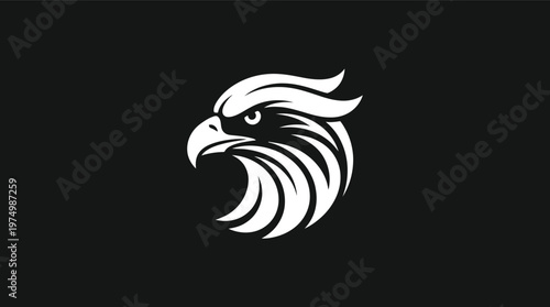 Vector graphic illustration of a strong eagle head in profile with dynamic feathers and a sharp beak on black background