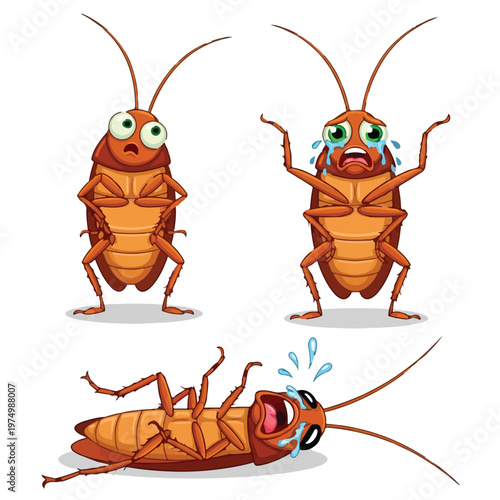 Cockroach Distress Set Pest Control Solutions Commercial