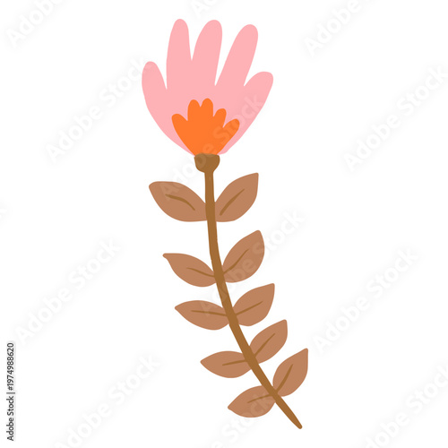 Pastel flat pink flower