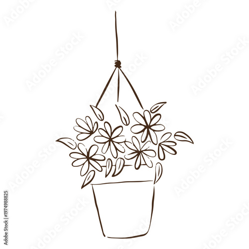 Simple stroke hanging plant flowers nature