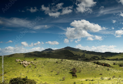 Bild auf Leinwand a scenic landscape of rolling green hills, in Sardinia, Italy