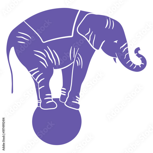 Elephant performing on ball