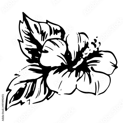 Quadro su tela Tropical sumer flower