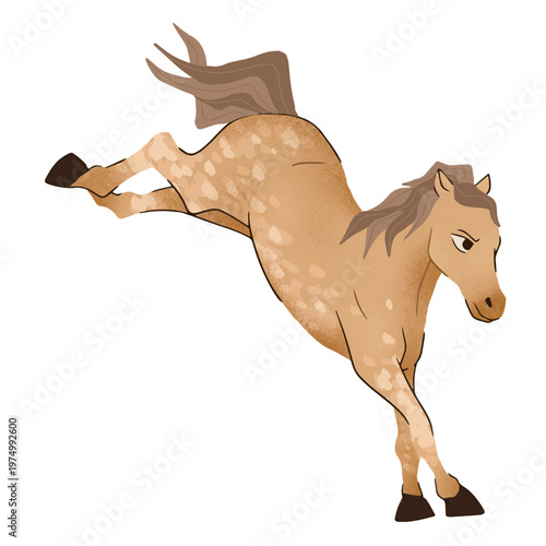 Light brown horse jumping