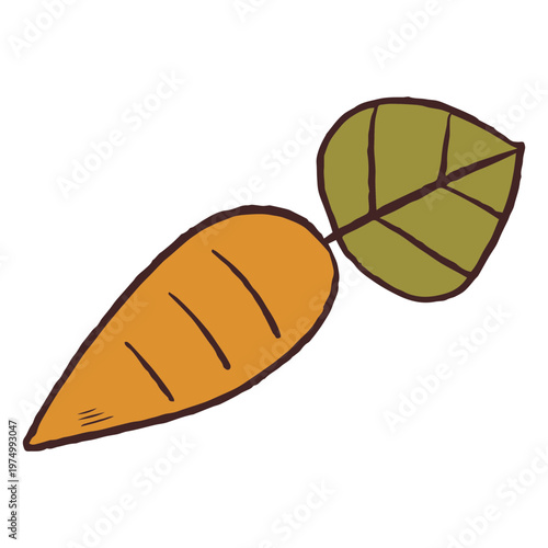 Simple drawing of carrot