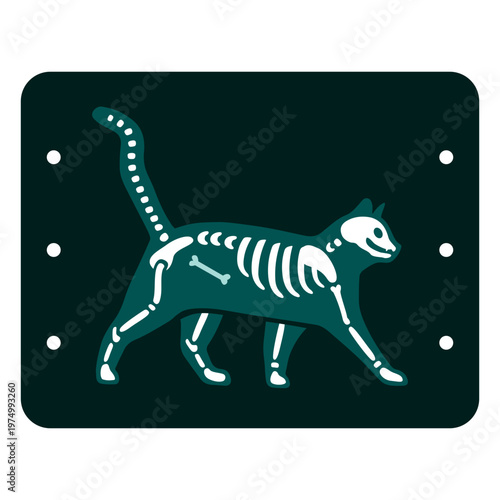 Kitty vet x-rays illustration