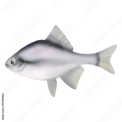 White fish watercolor