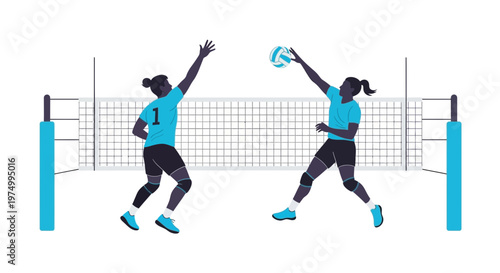 Dynamic Volleyball Match Action Duo Competing Across Net