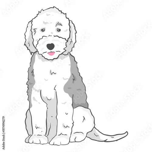 White and grey dog sitting