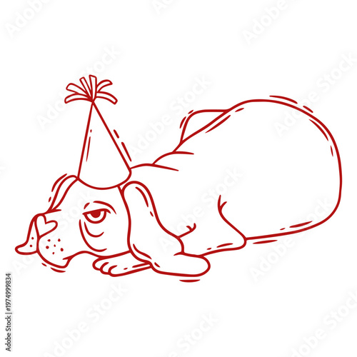 Dog with a party hat laying