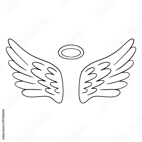 Beautiful angel wings