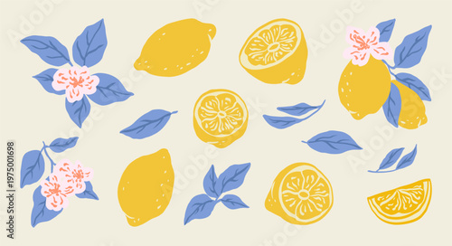Hand drawn lemon citrus fruits with leaves and flowers set. Italian style. Summer art. Collection Sketch of whole and cut lemons, branches, flowers. Vector summer design for pattern, poster, card, ban