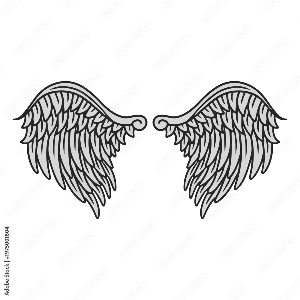 Fototapeta premium Feather angel wings