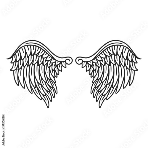 Flying angel wings