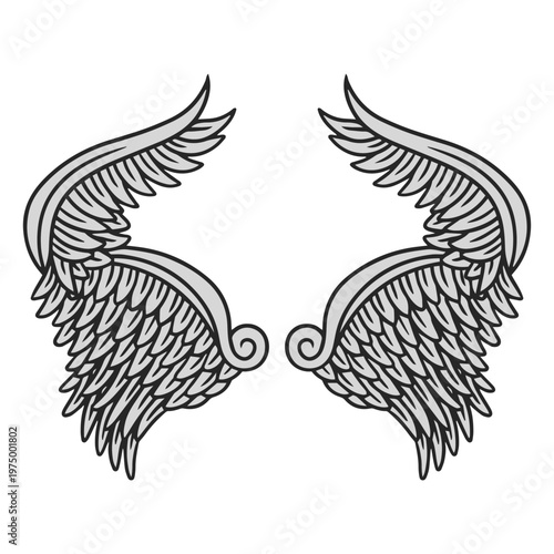 Fantastic angel wings