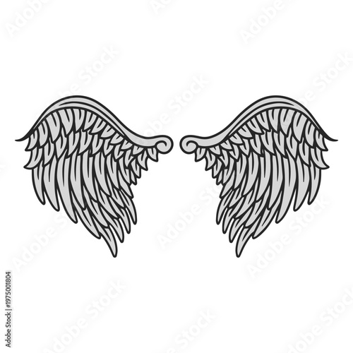 Feather angel wings