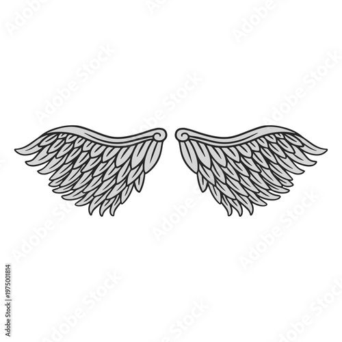 Gray angel wings