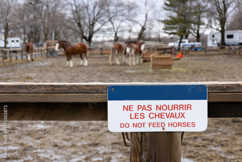 Panneau et chevaux, jour, horizontal