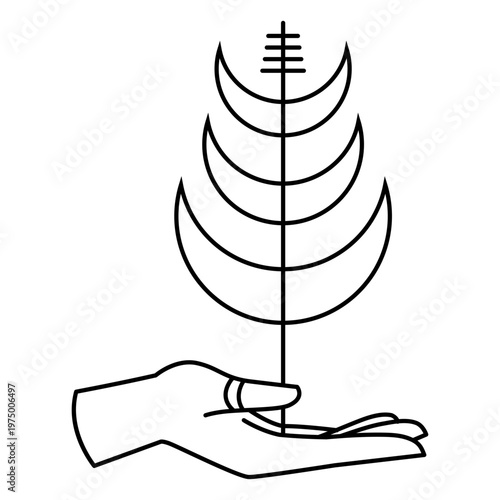 Hand holding a tree of moons