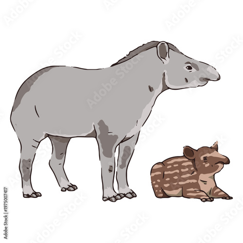 Wildlife family tapir