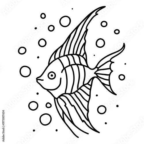 Angel fish swimming