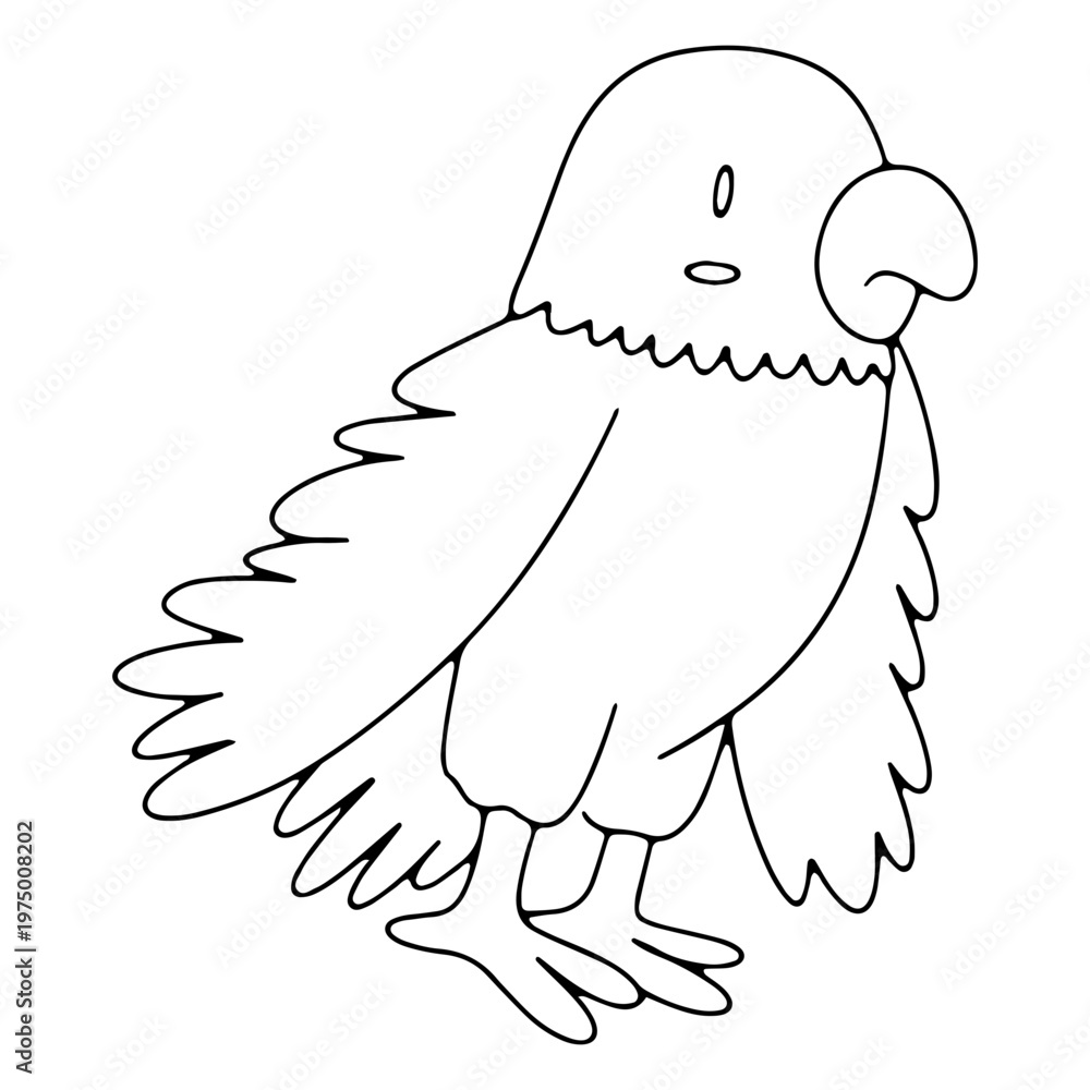 Obraz premium Confused cut parrot