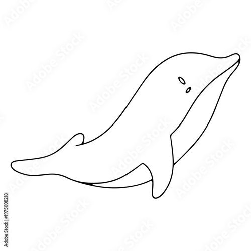 Adorable dolphin