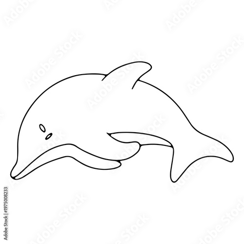 Cute dolphin about to dive