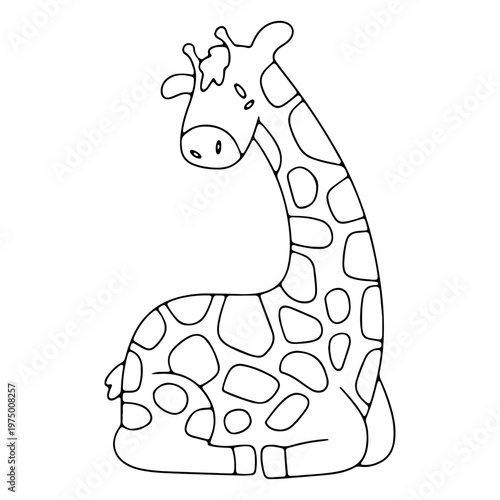 Cute giraffe resting on the ground