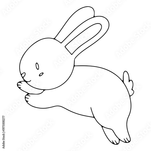Cute jumping rabbit