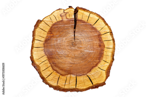 Holzscheibe Edelholz