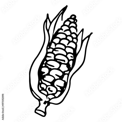 Ear of corn design