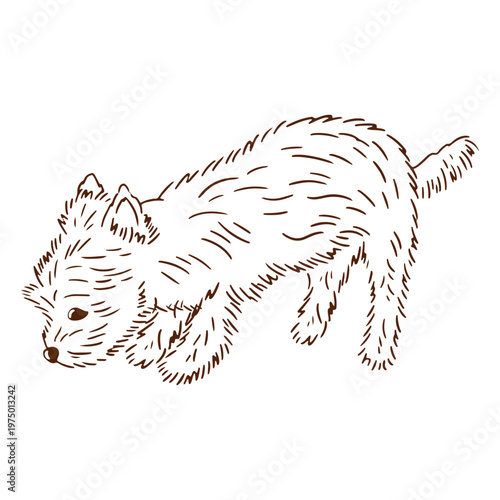 Yorkshire stroke smelling