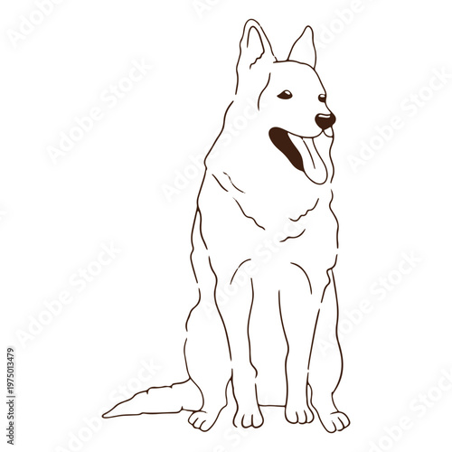 White shepherd dog sitting stroke