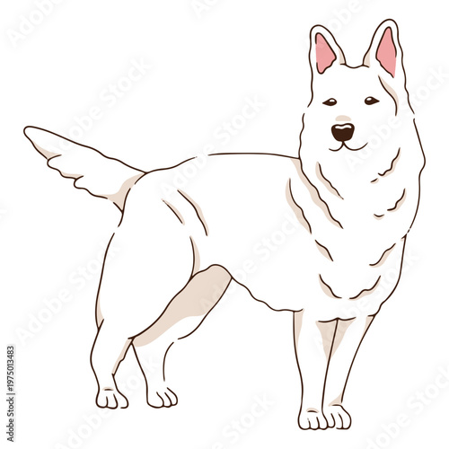 White shepherd dog happy
