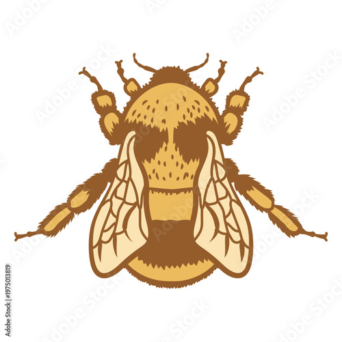 Overview of a bumblebee