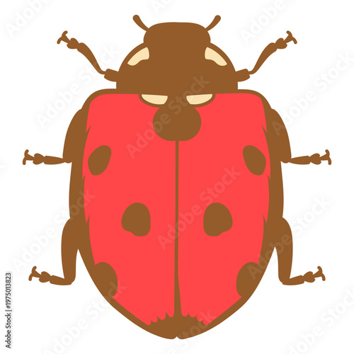 Splendid beetle with bright red hues