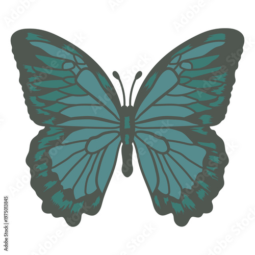 Beautiful green-toned butterfly