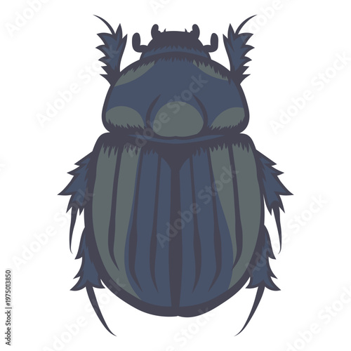 Dark-toned beetle