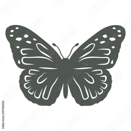 A shadowy silhouette of a butterfly