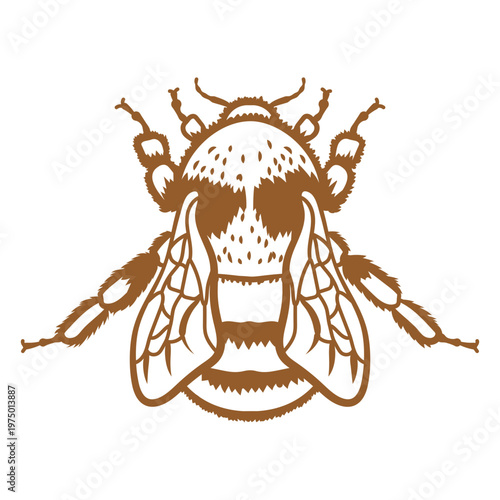 Image of a bumblebee