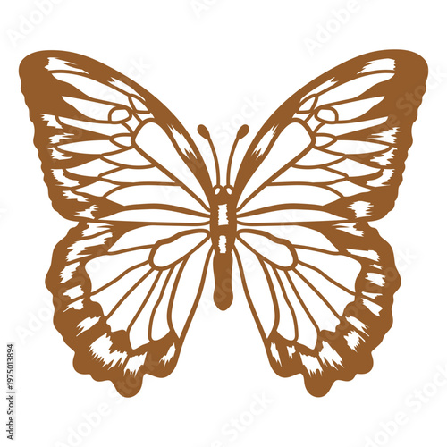Image of a beautiful butterfly