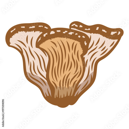 Edible oyster foraging