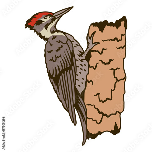 Vibrant feathered friend