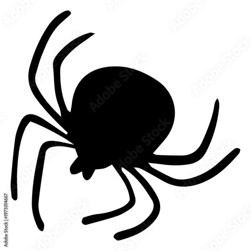Spider in shadows