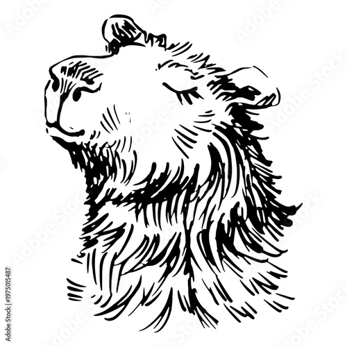 Hand-drawn relaxed capybara