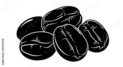 Coffee Bean Illustration Black and White Graphic Vector