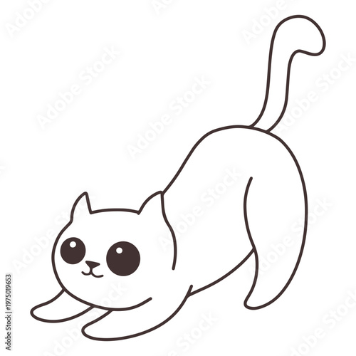 Adorable crouching cat