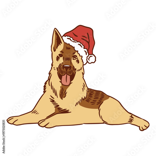 German shepherd dog wearing a santa hat